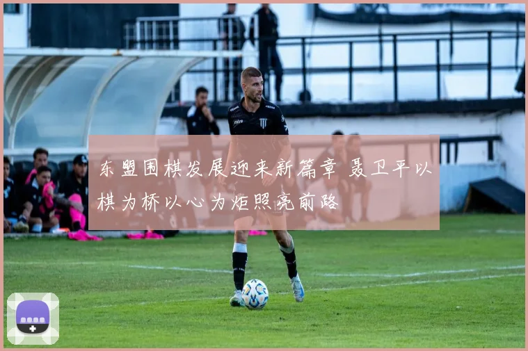 东盟围棋发展迎来新篇章 聂卫平以棋为桥以心为炬照亮前路