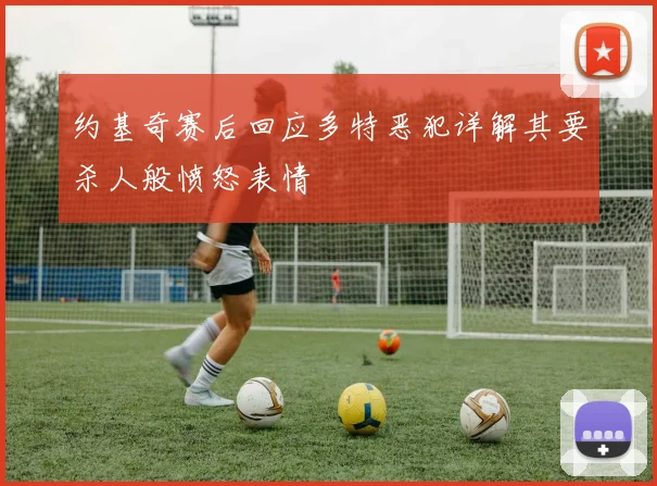 约基奇赛后回应多特恶犯详解其要杀人般愤怒表情