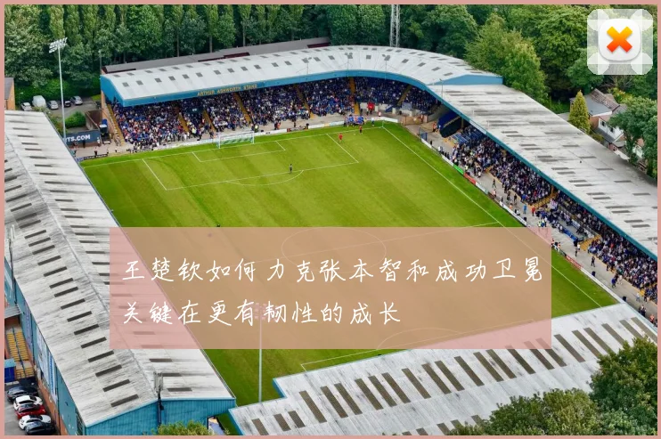 王楚钦如何力克张本智和成功卫冕关键在更有韧性的成长