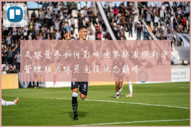 足球营养如何影响世界杯表现科学管理助力球员竞技状态巅峰