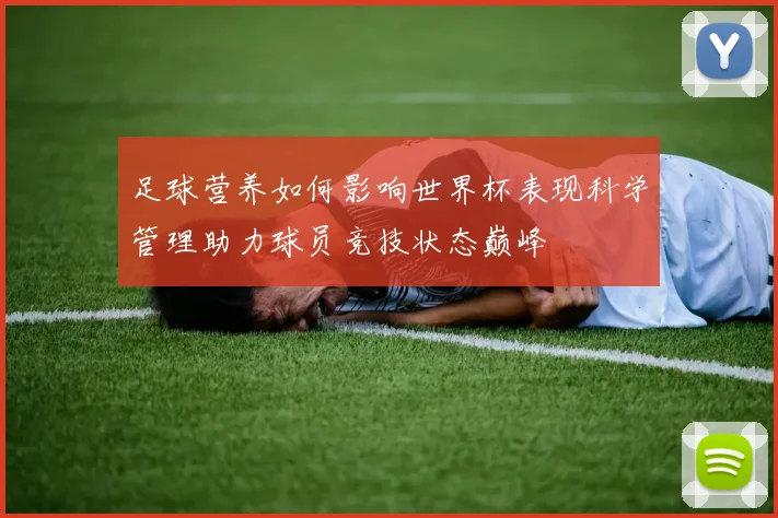 足球营养如何影响世界杯表现科学管理助力球员竞技状态巅峰