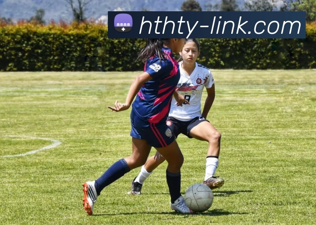 hth官网 | 专注足球、篮球及电竞赛事深度报道门户平台生态图